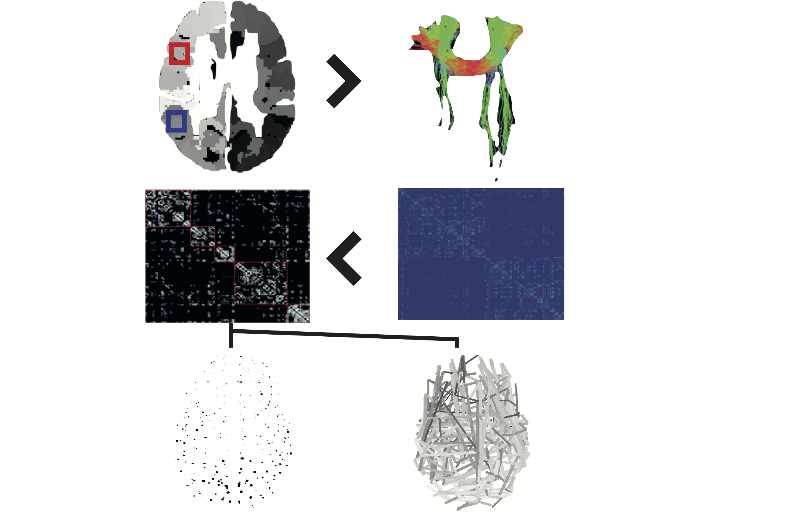 connectome_methods